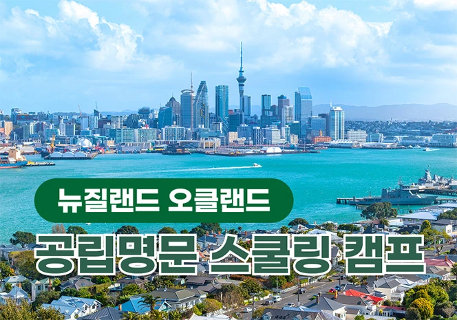 뉴질랜드 오클랜드 캠프